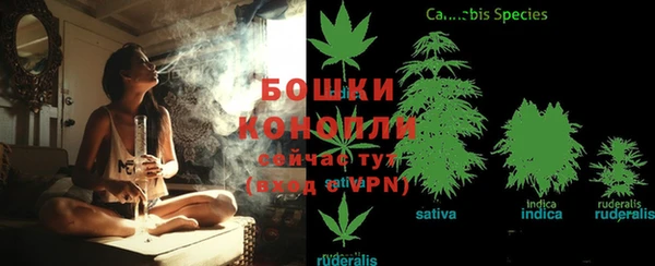 индика Волосово