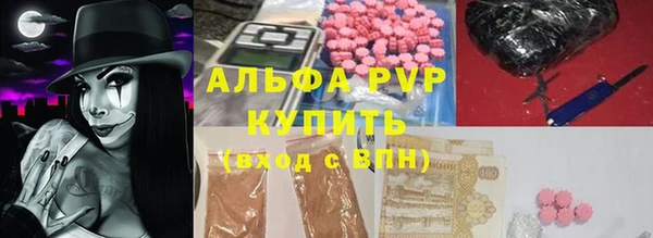 индика Волосово