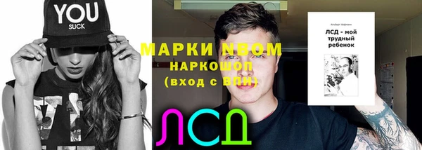 индика Волосово