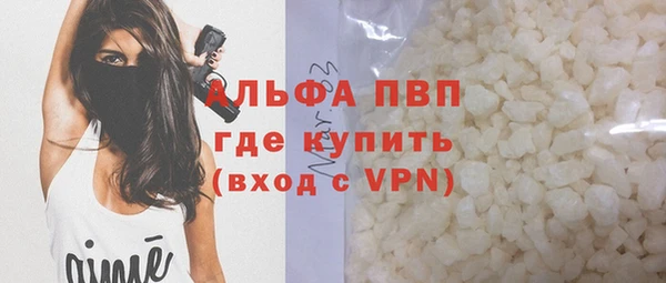 индика Волосово