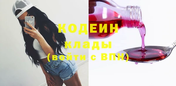 индика Волосово