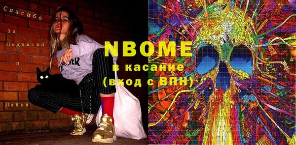 индика Волосово