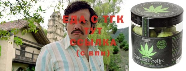 индика Волосово